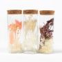 Torkade blommor i glas FELICITY, 3 st, rosa-lila-vit, 12,5cm, Ø4,5cm