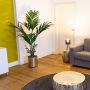 Green Roommate del 1