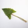 Konstgjort blad Caladium giganteum LIANG, grönt, 105cm