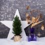 Kunglig jul