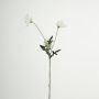 Konstgjord blomkvist med vallmo GUNDULA, Eco Collection, vit-lila, 70cm, Ø7-8cm