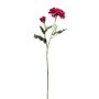 Dekorativ blomkvist, zinnia GUNDISINE, Eco Collection, mörka cerise, 65cm, Ø9cm
