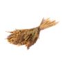 Torkad axbukett FALADA, natur, 65cm, Ø20cm