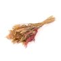 Torkad bukett DILIANE, rosa-naturfärgad, 50cm, Ø15cm