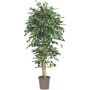 Konstgjord Ficus Benjamini LEVANTA, naturstammar, grön-vit, 175cm - Tillverkad i Italien