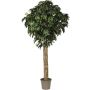 Konstgjord mango MAYUMI, äkta stam, grön, crossdoor, 250cm - Tillverkad i Italien