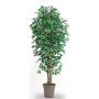 Dekorativ Ficus Benjamini LEONORET, äkta stammar, grön-vit, 300cm - Tillverkad i Italien