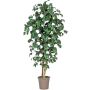 Konstgjord kamelia JASMINDE, naturliga stammar, med blommor, vit, 250cm - Tillverkad i Italien