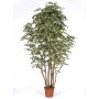 Konstgjord Ficus Benjamini MIMITIGO, äkta stammar, grön-vit, 200cm - Tillverkad i Italien