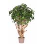 Konstgjord Schefflera TIERNO, äkta stam, grön, 225cm - Tillverkad i Italien