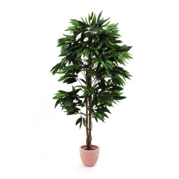 Konstträd Mango BALDO, naturliga stammar, 180cm