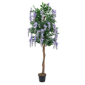 Konstgjord guldregn LESLIE, äkta stammar, med blommor, lila, 180cm Konstgjord guldregn LESLIE, äkta stammar, med blommor, lila, 180cm