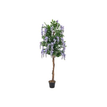 Konstgjord guldregn LESLIE, äkta stammar, med blommor, lila, 180cm Konstgjord guldregn LESLIE, äkta stammar, med blommor, lila, 180cm