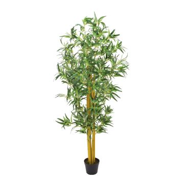 Konstgjord bambu HIROKO, naturstammar, 180cm