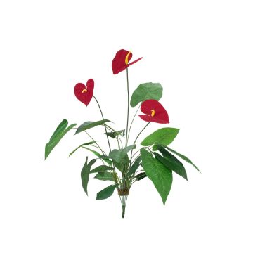 Anthurium i plast CALVINA på stödpinne, röd, 80cm, 12x16cm