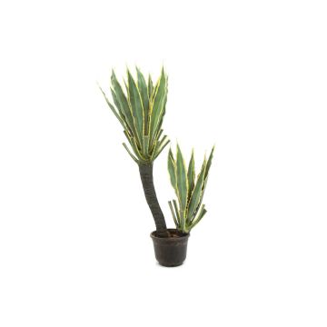 Plast Agave americana GRIZELDA, konstgjord stam, dekorativ kruka, grön-gul, 160cm