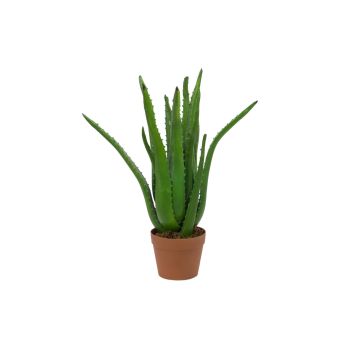 Plast-aloe vera KOLJA, grön, 65cm, Ø30cm