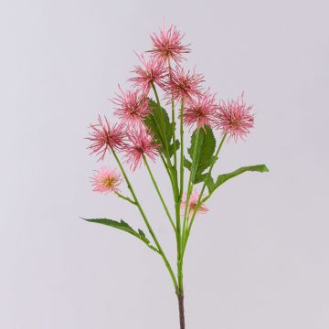 Dekorativ kvist med kuggtistel GESKENDA, rosa-gul, 60cm, Ø3,5-5cm Dekorativ kvist med kuggtistel GESKENDA, rosa-gul, 60cm, Ø3,5-5cm