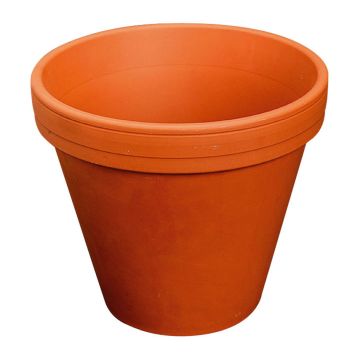 Terrakotta-kruka ARVION, 8cm, Ø9cm
