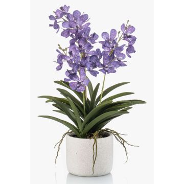 Konstgjord Vanda-orkidé PAVRA i keramikkruka, rötter, violett-vit, 60cm
