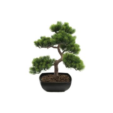Konstbonsai, pinje SHADIA med rötter, i bonsaiskål, 50cm Konstbonsai, pinje SHADIA med rötter, i bonsaiskål, 50cm