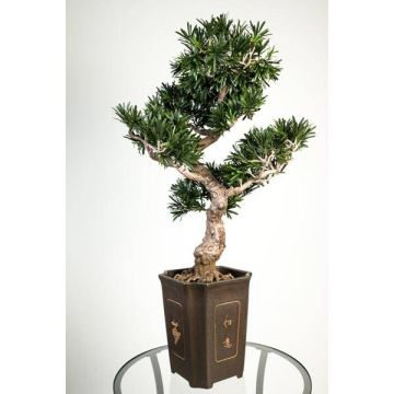 Konstbonsai sten-tall TRISTAN med rötter, i dekorativ kruka, 90cm Konstbonsai sten-tall TRISTAN med rötter, i dekorativ kruka, 90cm