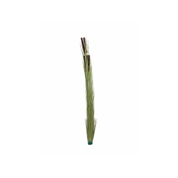Plastvass DIVO med ax, stickpinne, ljusgrön, 150cm Plastvass DIVO med ax, stickpinne, ljusgrön, 150cm