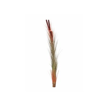 Plastvass DIVO med ax, stickpinne, grön-orange, 150cm Plastvass DIVO med ax, stickpinne, grön-orange, 150cm