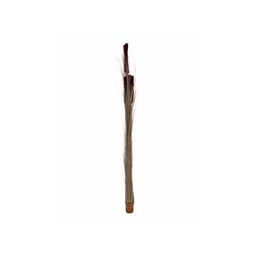 Plastvass DIVO med ax, stickpinne, grönbrun, 150cm Plastvass DIVO med ax, stickpinne, grönbrun, 150cm