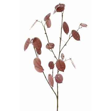 Dekorativ kvist Lunaria LOUDIAS, mauve, 90cm Dekorativ kvist Lunaria LOUDIAS, mauve, 90cm