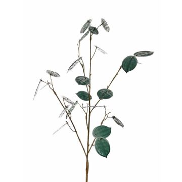 Dekorativ kvist Lunaria LOUDIAS, petrolgrön, 90cm Dekorativ kvist Lunaria LOUDIAS, petrolgrön, 90cm