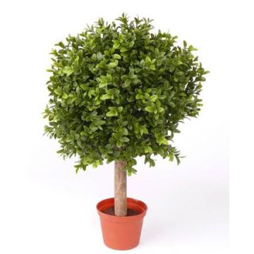 Konstgjord buxbom TOM, naturstam, crossdoor, 35cm, Ø25cm