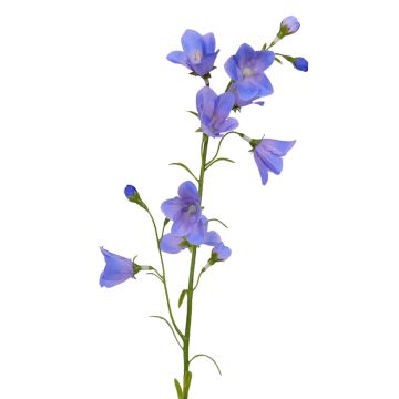 Konstgjord klockblomma GISELA, blå, 65cm, Ø1-4cm