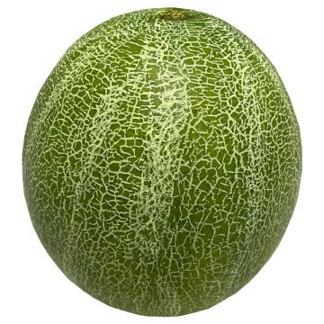 Dekorationsfrukt Cantaloupe-melon ZASTO, grön, Ø15cm