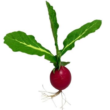 Dekorativ grönsak, rädisa DOMAT, röd-grön, 11,5cm Dekorativ grönsak, rädisa DOMAT, röd-grön, 11,5cm