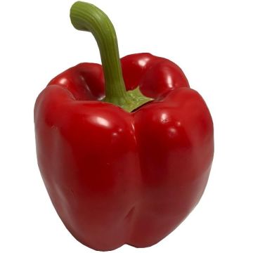 Konstgjord paprika REKLA, röd, 8cm, Ø7,5cm Konstgjord paprika REKLA, röd, 8cm, Ø7,5cm
