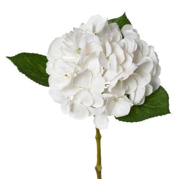 Konstblomma hortensia KLUVT, vit, 50cm