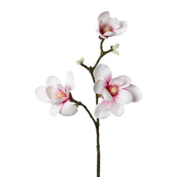 Konstgjord magnoliagren BOLKE, rosa-vit, 60cm Konstgjord magnoliagren BOLKE, rosa-vit, 60cm