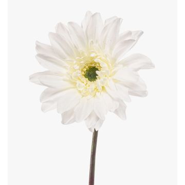 Konstgjord gerbera FRALWE, Eco Collection, vit, 65cm, Ø13cm