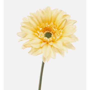 Konstgjord gerbera FRALWE, Eco Collection, ljusgul, 65cm, Ø13cm