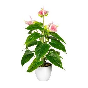 Konstblomma flamingoblomma PLOVIR i dekorativ kruka, rötter, rosa, 40cm Konstblomma flamingoblomma PLOVIR i dekorativ kruka, rötter, rosa, 40cm