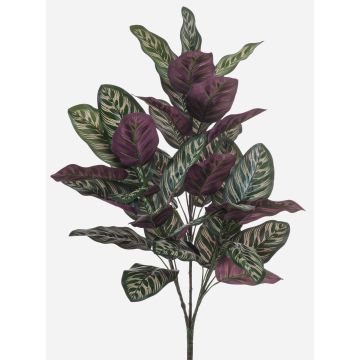 Konstgjord växt Calathea makoyana TROGAR på stödpinne, grön-violett, 70cm