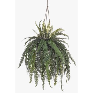 Dekorativ kvinnosvansfarn i hängkruka MAXROL, jordklump, rötter, hängande, grön, 90cm