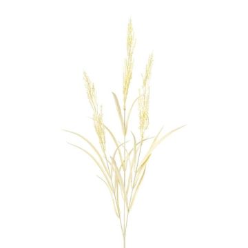 Dekorativ kvist av sandrör BUTINA med ax, beige, 85cm