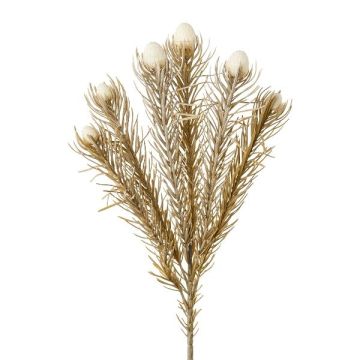 Dekorativ kvist nålkudde Protea KROLI med knoppar, torkad look, krämbeige, 50cm, Ø1-2cm Dekorativ kvist nålkudde Protea KROLI med knoppar, torkad look, krämbeige, 50cm, Ø1-2cm
