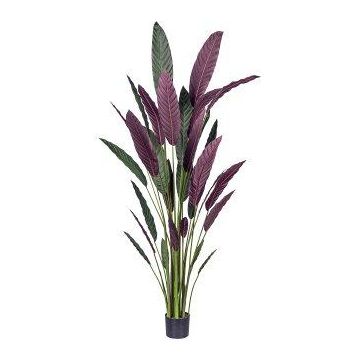 Konstväxt Heliconia SNALHE, grön-vinröd, 210cm Konstväxt Heliconia SNALHE, grön-vinröd, 210cm
