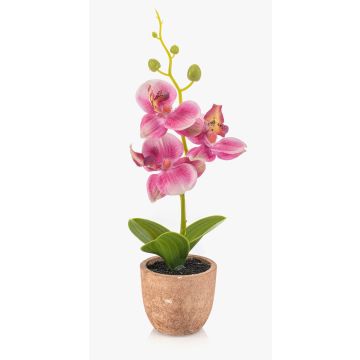 Plastorkidé Phalaenopsis LEONISA i terrakottakruka, rosa, 20cm Plastorkidé Phalaenopsis LEONISA i terrakottakruka, rosa, 20cm