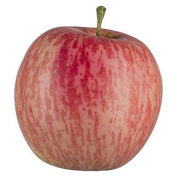 Konstgjord frukt, äpple LOKPA, röd-gul, 7,5cm, Ø6,5cm Konstgjord frukt, äpple LOKPA, röd-gul, 7,5cm, Ø6,5cm