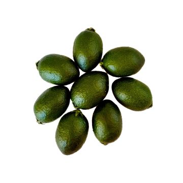 Dekorationsfrukt limequat POLASY, 8 st, mörkgrön, 4,5cm, Ø2,8-3,2cm