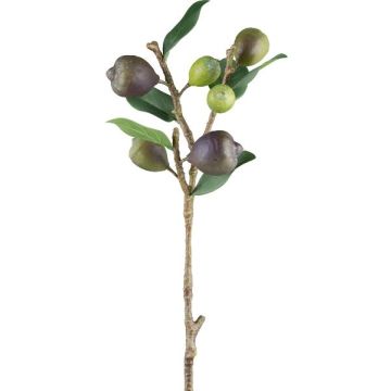 Konstgjord kvist fikon FLOVAR med frukter, grön, 60cm